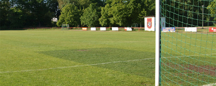 Sportstätten Sportstättenbetrieb der Stadt Cottbus